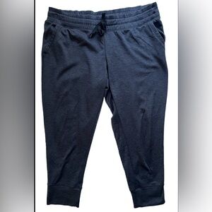 Champion Duo Dry Pull On Jogger Cropped Pants Capri Women's XL Athletic Gray Gym